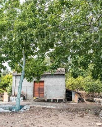 Terreno panoramico con fabbricato a Mascali