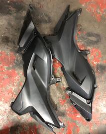 Fianchi laterali dx e sx