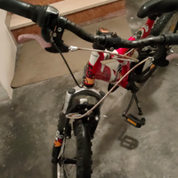 Bici tipo mountain-bike