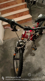 Bici tipo mountain-bike