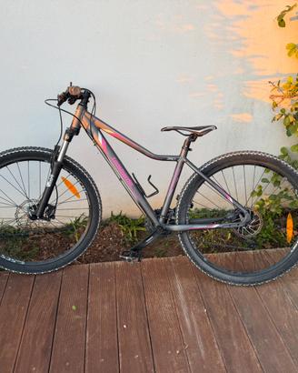 Bici Lombardo Sestriere 350