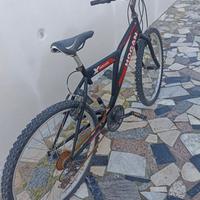 Bici in svendita