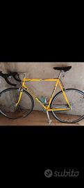 Bicicletta da corsa vintage " Pinarello Stelvio"
