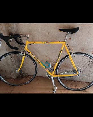 Bicicletta da corsa vintage " Pinarello Stelvio"
