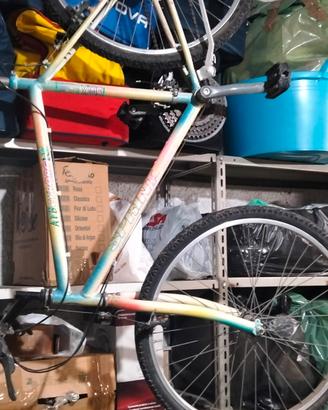 bicicletta MTB 26  economica