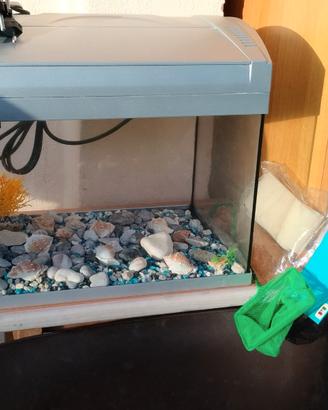 Acquario completo 20 litri