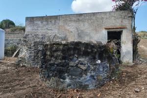Rustico - Pantelleria