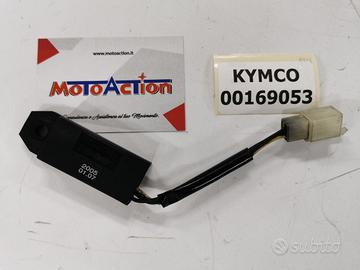 Centralina Riscaldamento Carburatore Kymco xciting