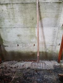 forcone 8 denti 