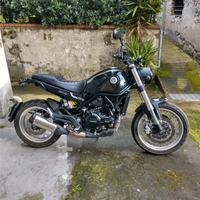 Benelli Leoncino 500 trail - Euro 5