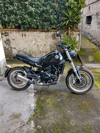 Benelli Leoncino 500 trail - Euro 5