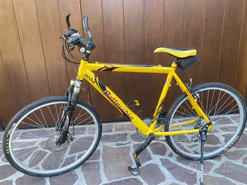 Mountain bike donna Bottecchia