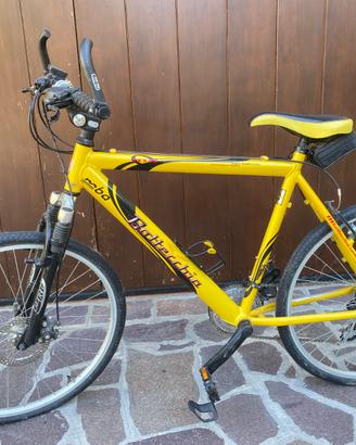 Mountain bike donna Bottecchia