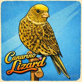 Canarino Lizard