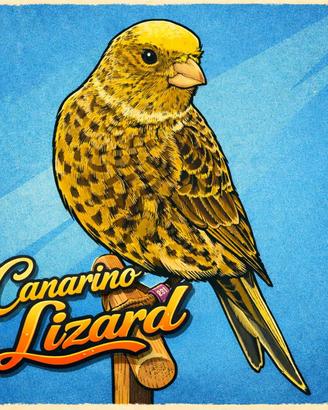 Canarino Lizard