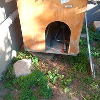 Cuccia cane taglia media - grande