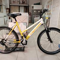 Mountain bike Donna Capriolo 