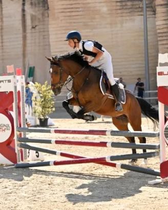 Cavallo
