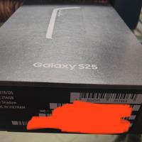 Samsung Galaxy S25 256GB Silver Shadow