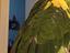 Immagine 3