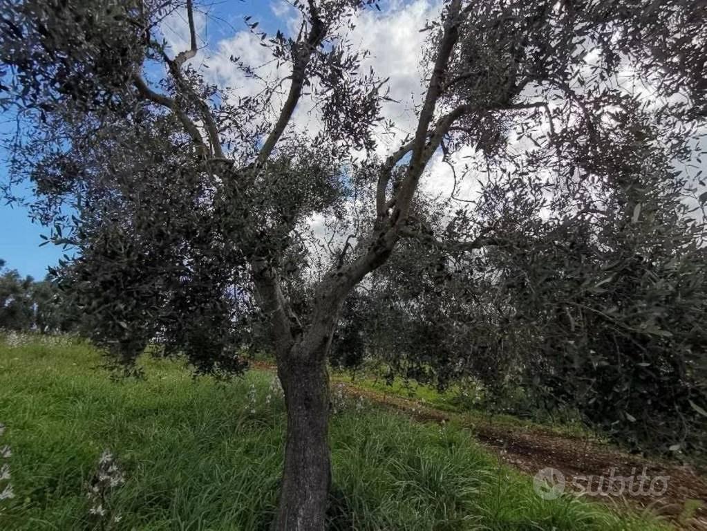 Immobile in asta di 716 m² con più di 5 locali a S - Vista 4