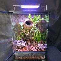 Terrario Bio attivo