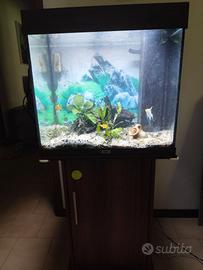 Acquario (Juwel  120 l) con mobile accessorio