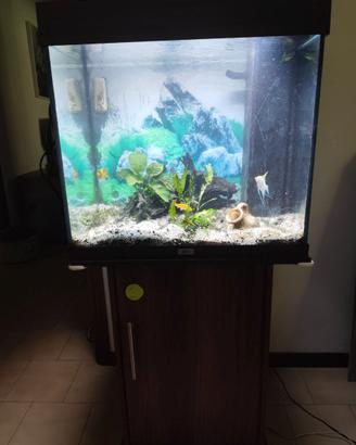 Acquario (Juwel  120 l) con mobile accessorio