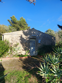 Vendita - Rustico con terreno