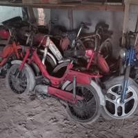 Lotto ciclomotori d'epoca