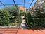 Immagine 12