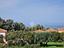 Immagine 25