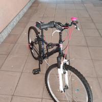Bici 24 100 euro