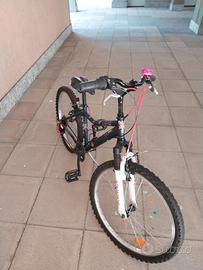 Bici 24 100 euro