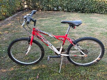 BICI MTB PHOENIX