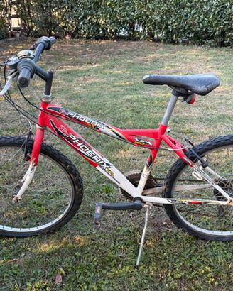 BICI MTB PHOENIX