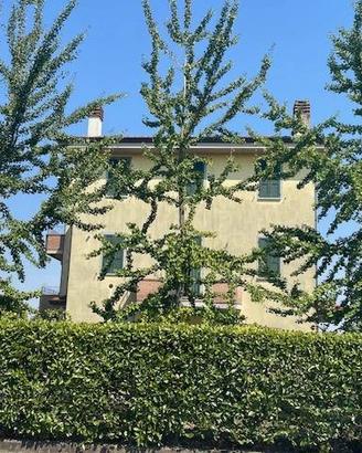Villetta a schiera di 168 m² con più di 5 locali e