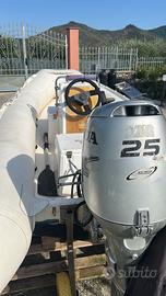 Motore Honda 25cv trim elettrico