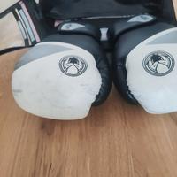 Guantoni kick boxe