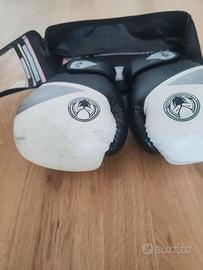 Guantoni kick boxe