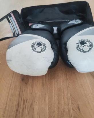Guantoni kick boxe