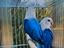 Immagine 3