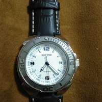 Orologio sector subacqueo