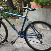 Mountain bike