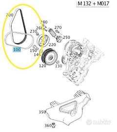 cinghia Smart w451 (2007-2013)