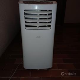 Climatizzatore Portatile Argo Swan Evo 8000  