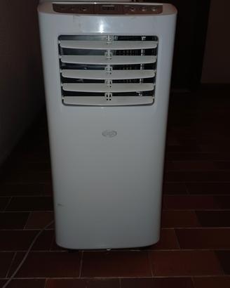 Climatizzatore Portatile Argo Swan Evo 8000  