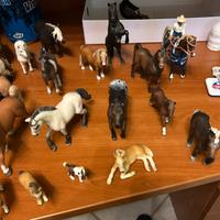 CAVALLI SCHLEICH