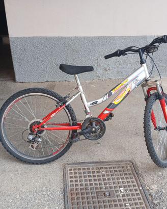 Mtb 24 pollici ragazzo