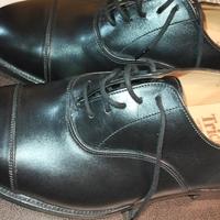 Tricker's  Brogue Nere (Longwing)